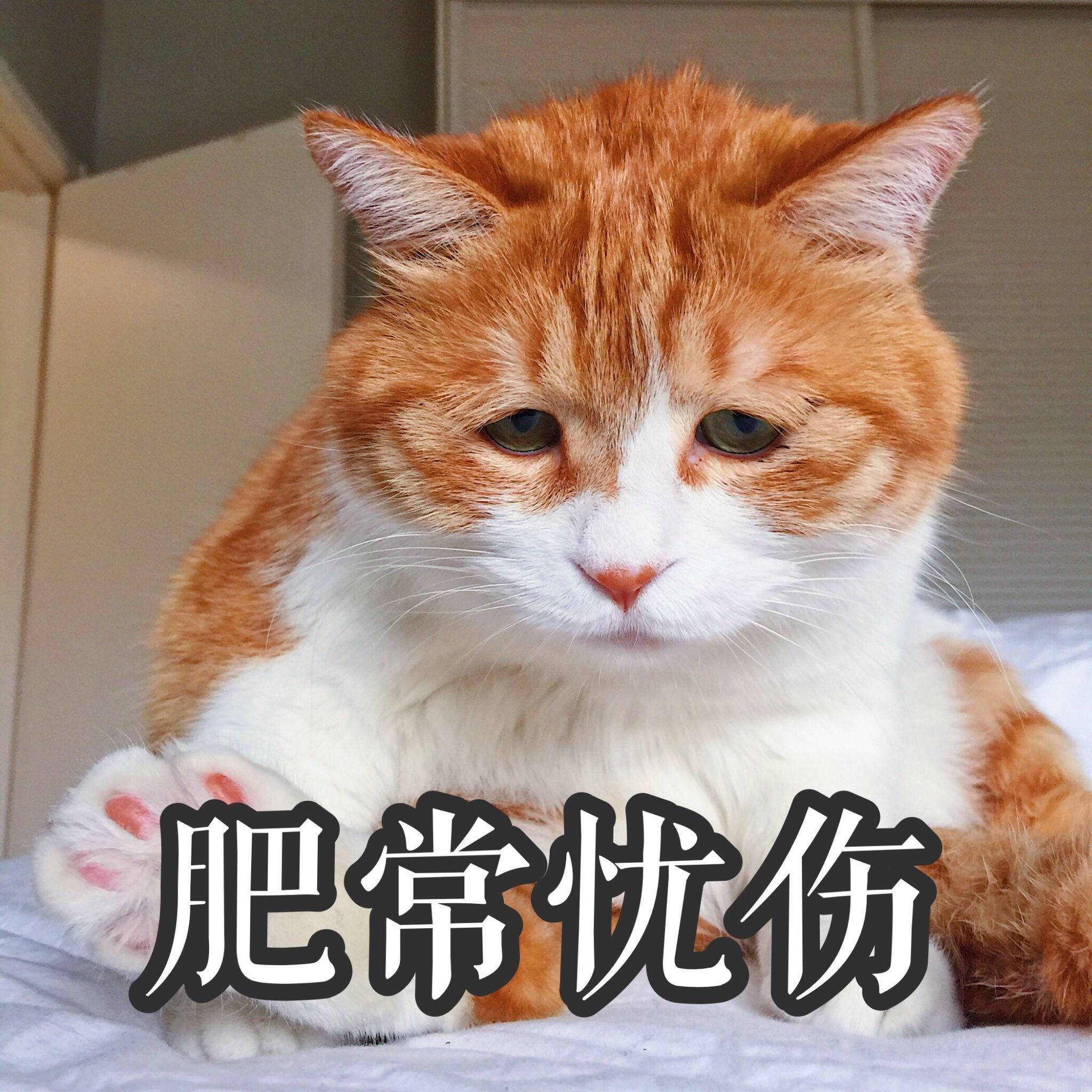 在 現 有 科 技 實 力 下.為 什 麼 世 界 各 國 不 組 建 太 空 部 隊. 