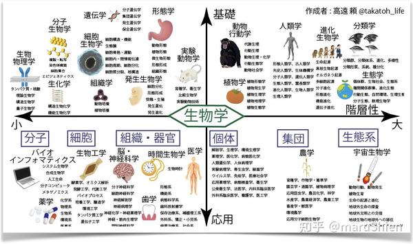 完全指南｜東京大学生命科学- 知乎