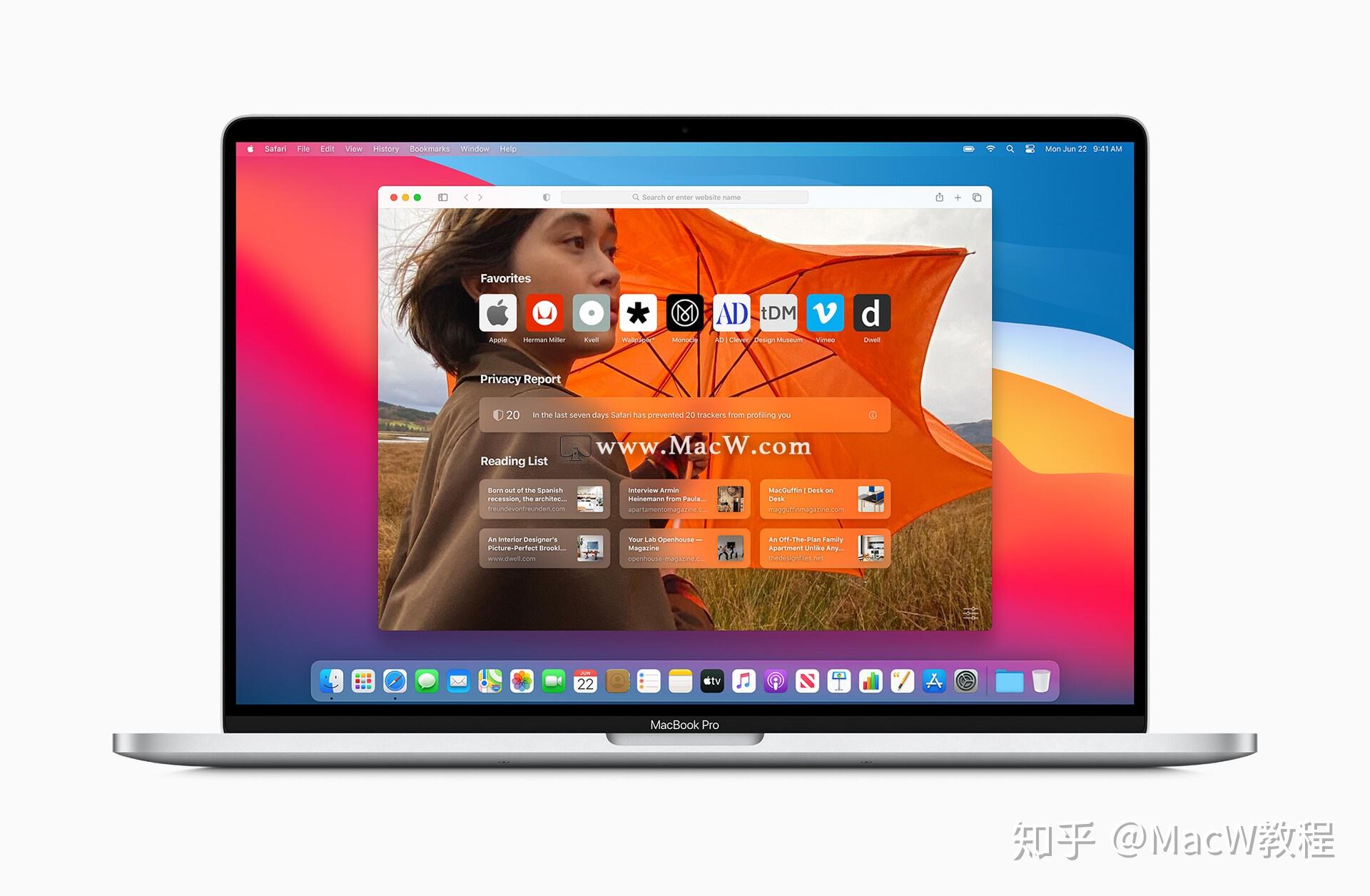 safari
