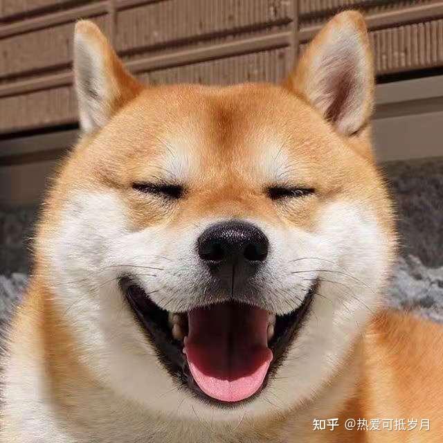 经常笑笑对身体的好处 - 知乎