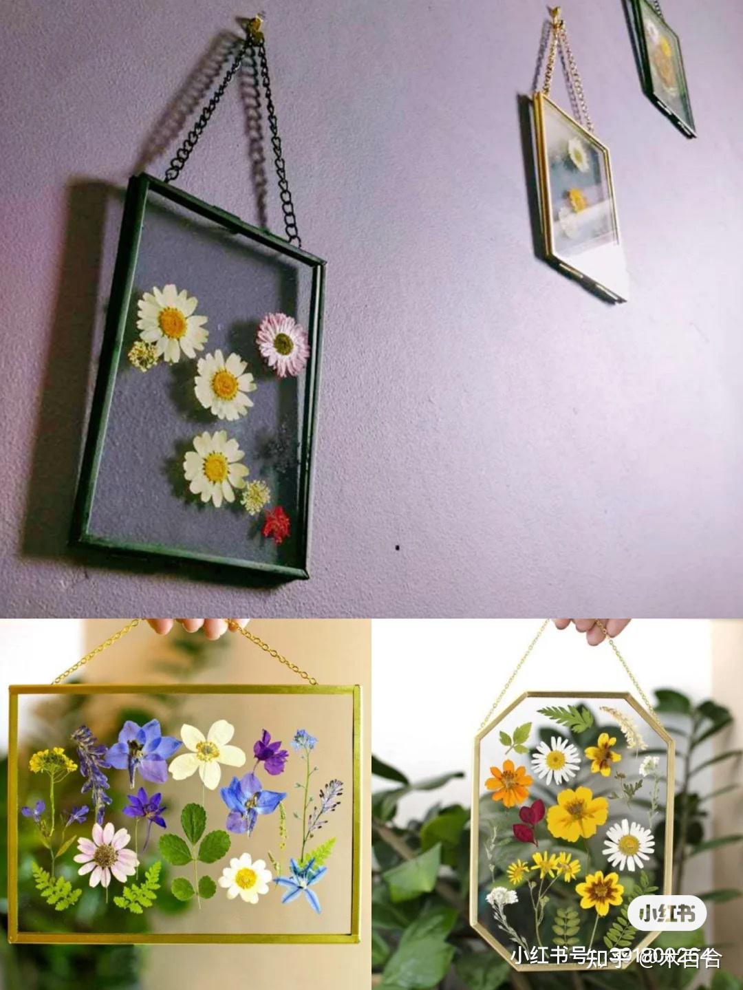 干货分享|🌼植物手作压花介绍🌼 - 知乎