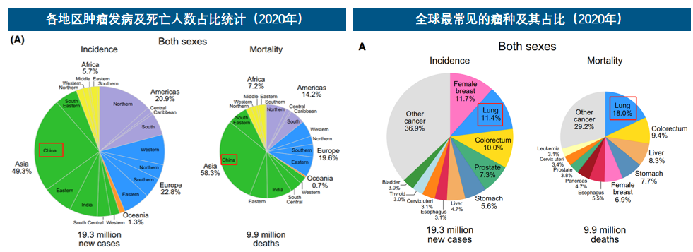 0%)第一位的腫瘤,全球新發病例230萬,死亡病例180萬.