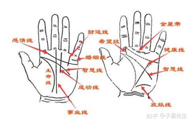 民间手相秘传:手相秘传口诀(建议收藏) - 知乎