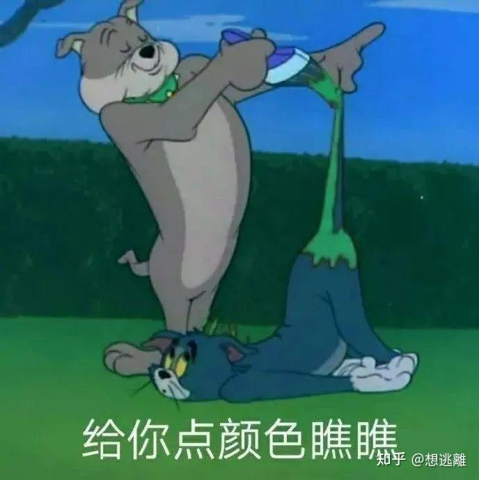 奇怪的搞笑必备表情包又增加了~ - 知乎