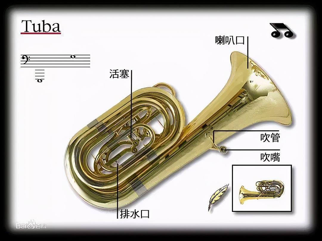 小号乐器结构图图片