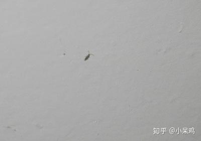 v2-e94123bcd62c6f579f54ed6a6db3c2b1_b.jpg