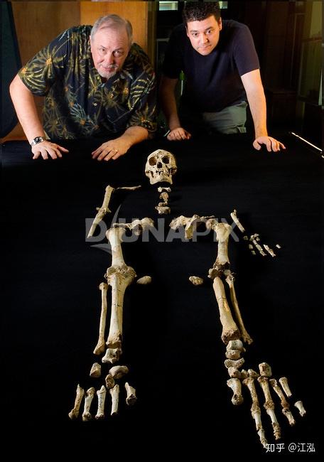 小矮人真的存在但是被我们杀光了