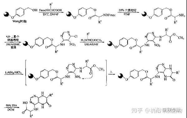 多肽固相合成的基本原理及流程 - 知乎