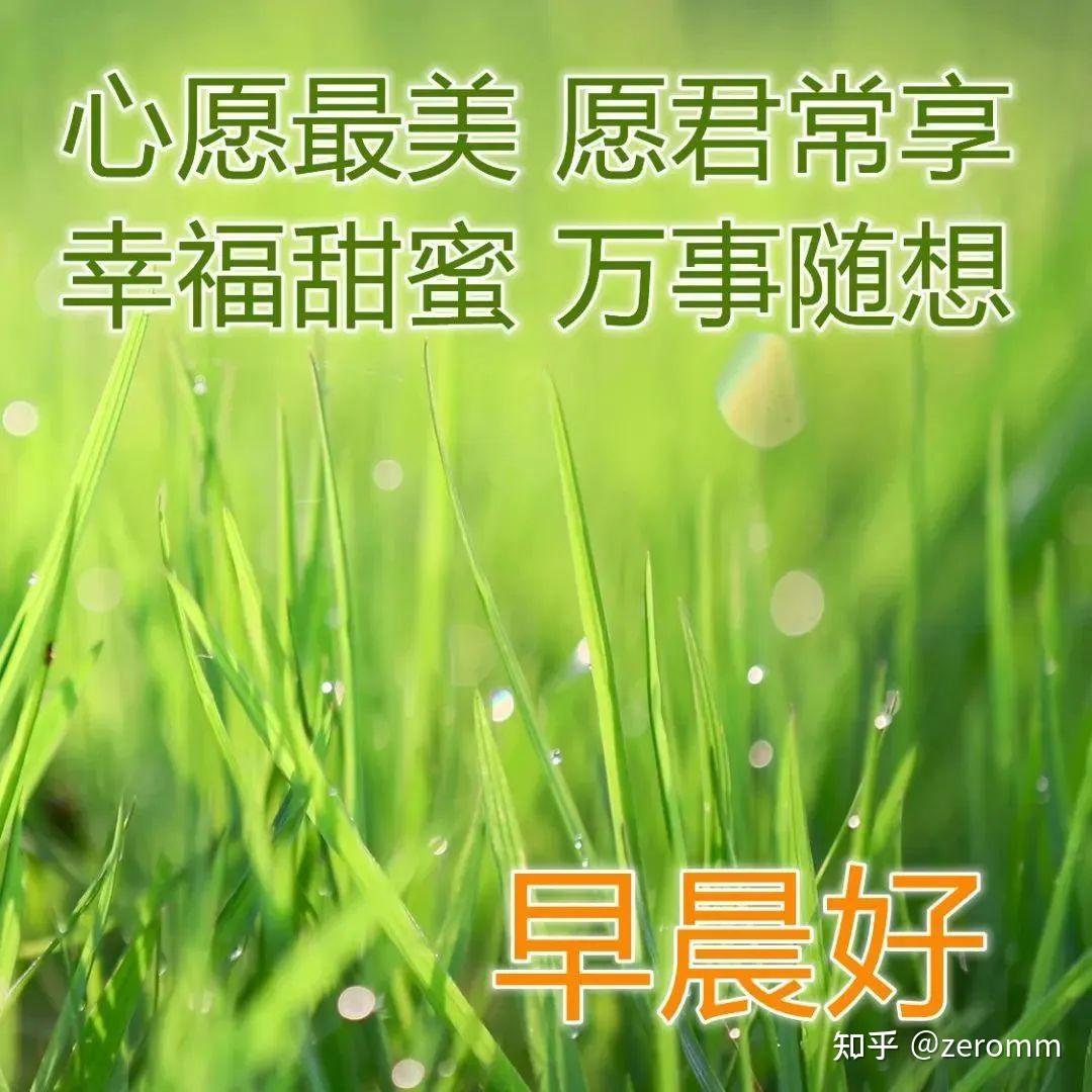 对生活的感悟和积极态度的正能量句子,鼓励自己的励志文案 - 知乎
