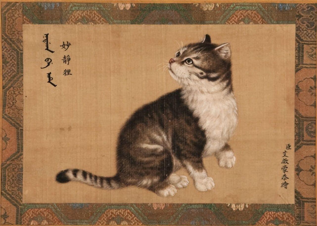 古代养猫重要程度堪比妻子