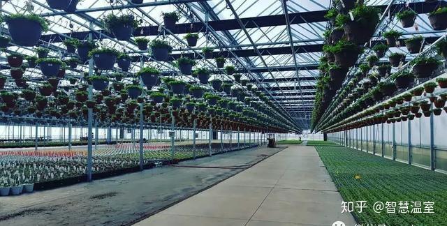 现代农业设施蔬菜高效栽培技术你用的是哪种