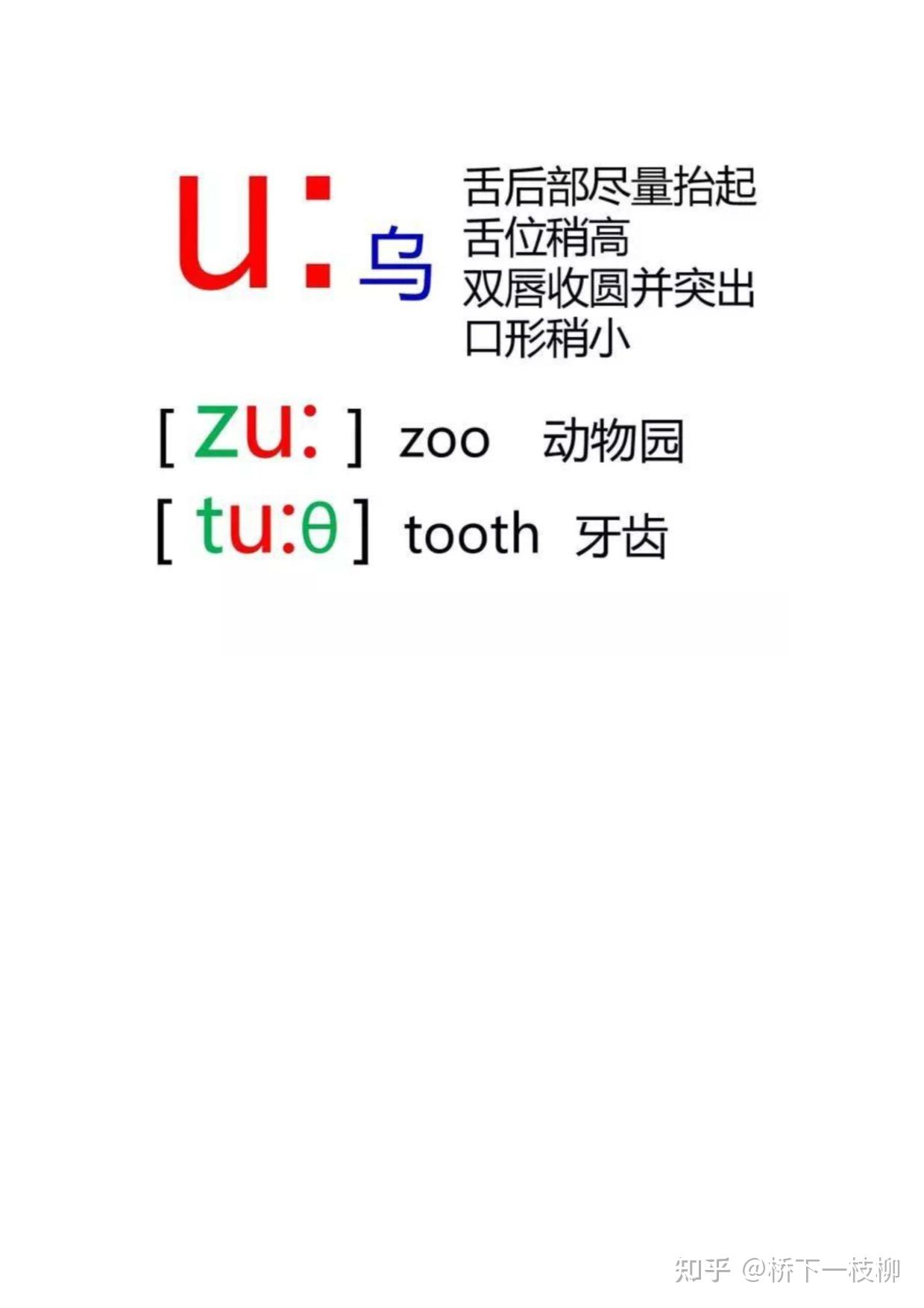 48张英语音标卡片
