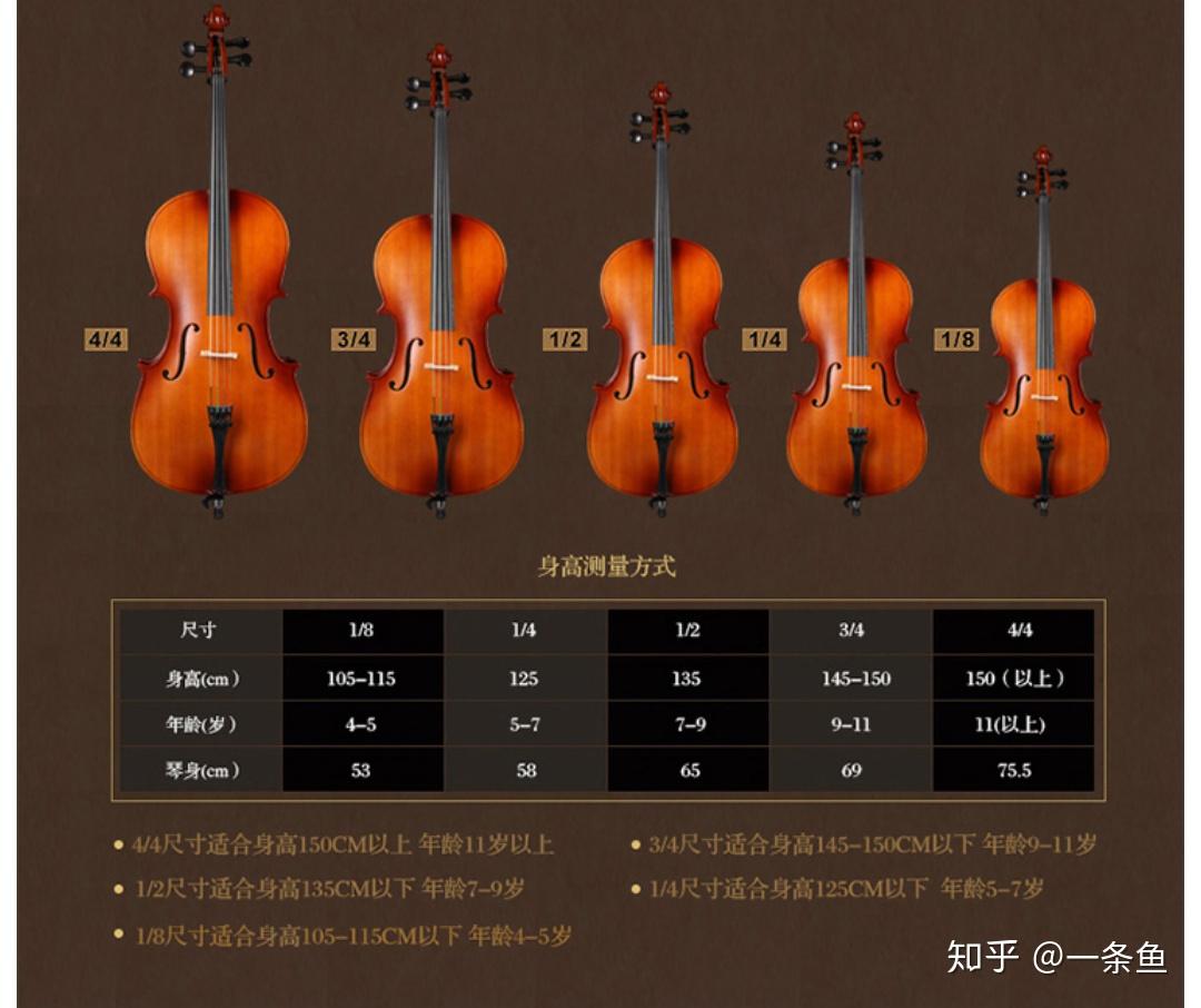 2021年大提琴品牌推荐指南,如何挑选大提琴,做一名优秀的音乐演奏者