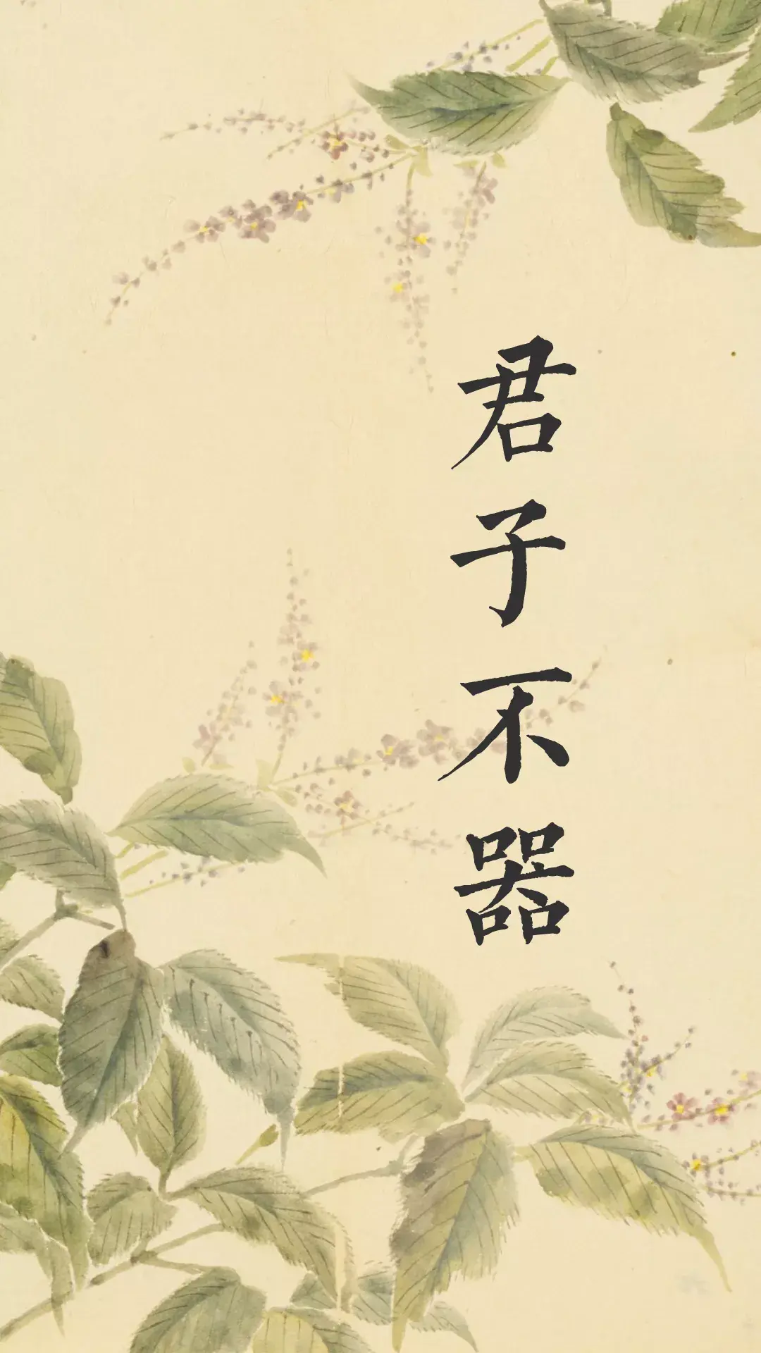 儒门金句丨君子不器