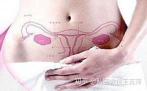 什么叫正常生理功能 v2-e98a61db2530a08ff0268e487ae72bb1_b.jpg