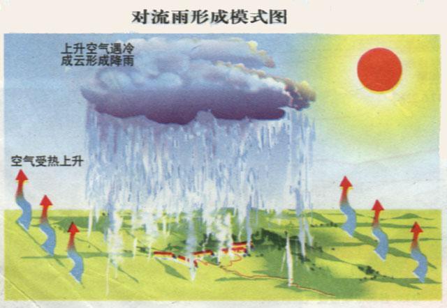 v2-e99024a63d6a37c9d281fab6c9af738d_r.jpg