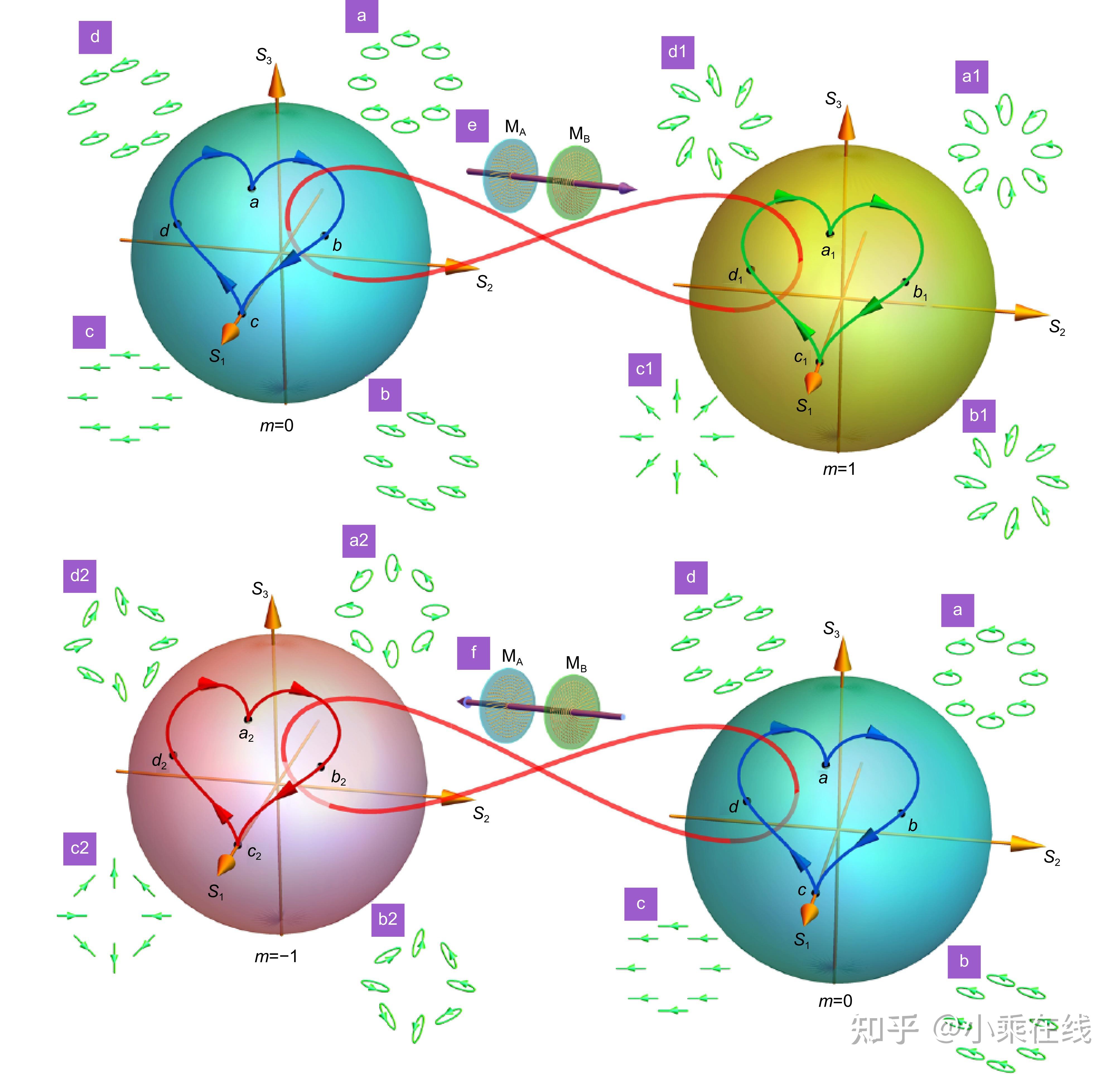 Noncommutative metasurfaces enabled diverse quantum path entanglement ...
