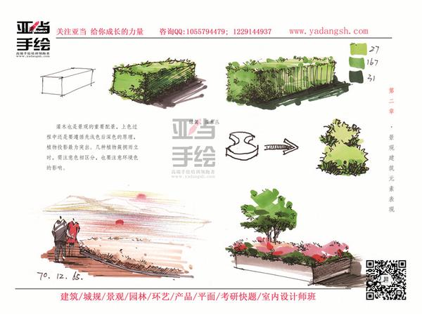 景观设计手绘中植物的画法 - 知乎