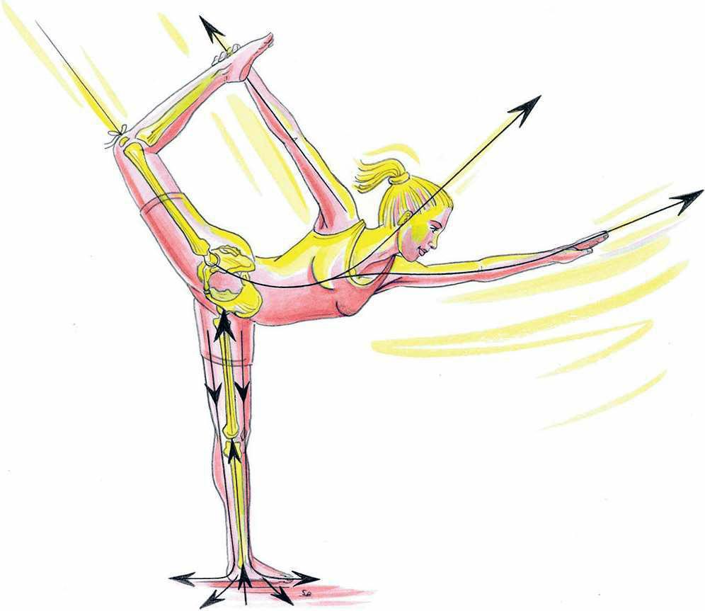 瑜伽姿势:舞王式