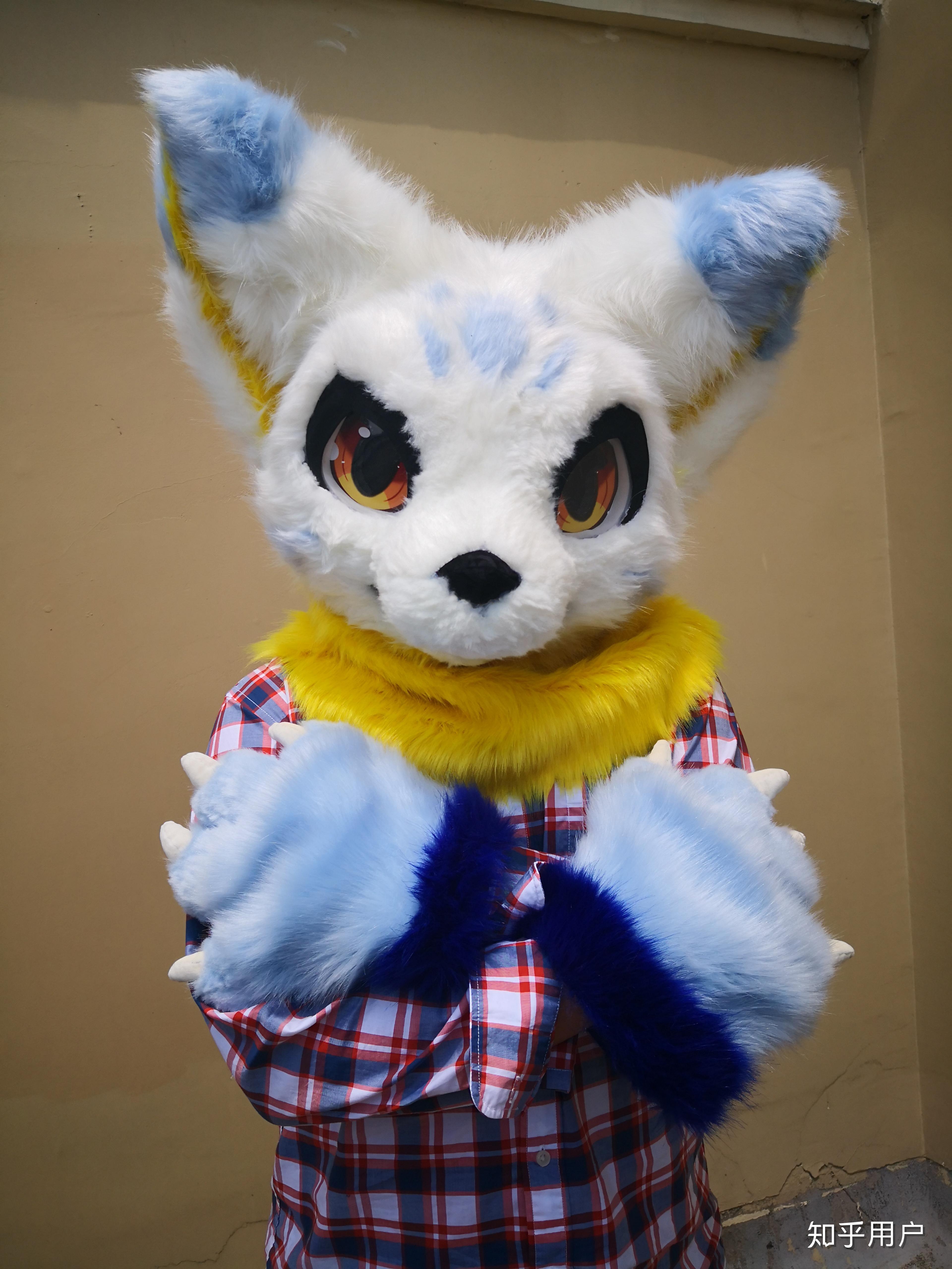 如何说服家长同意买一件17000RMB的Fursuit(兽装)? - 知乎