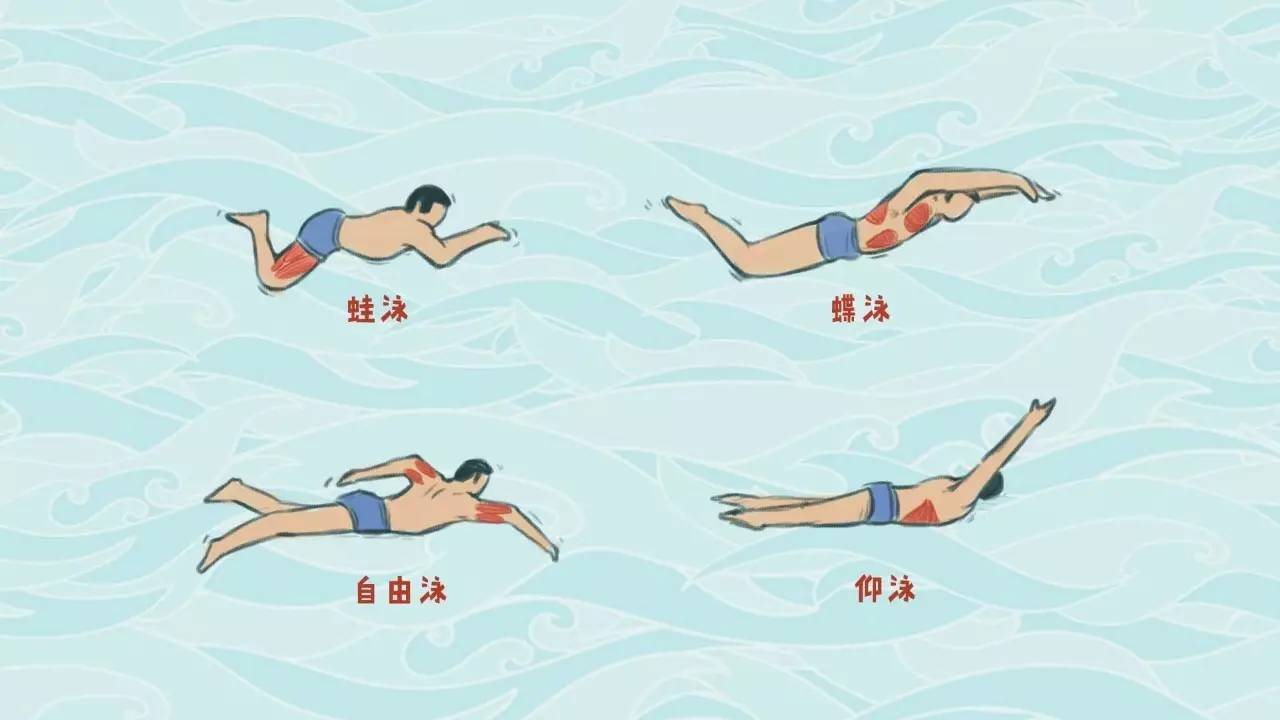 自由泳的正确姿势图解图片