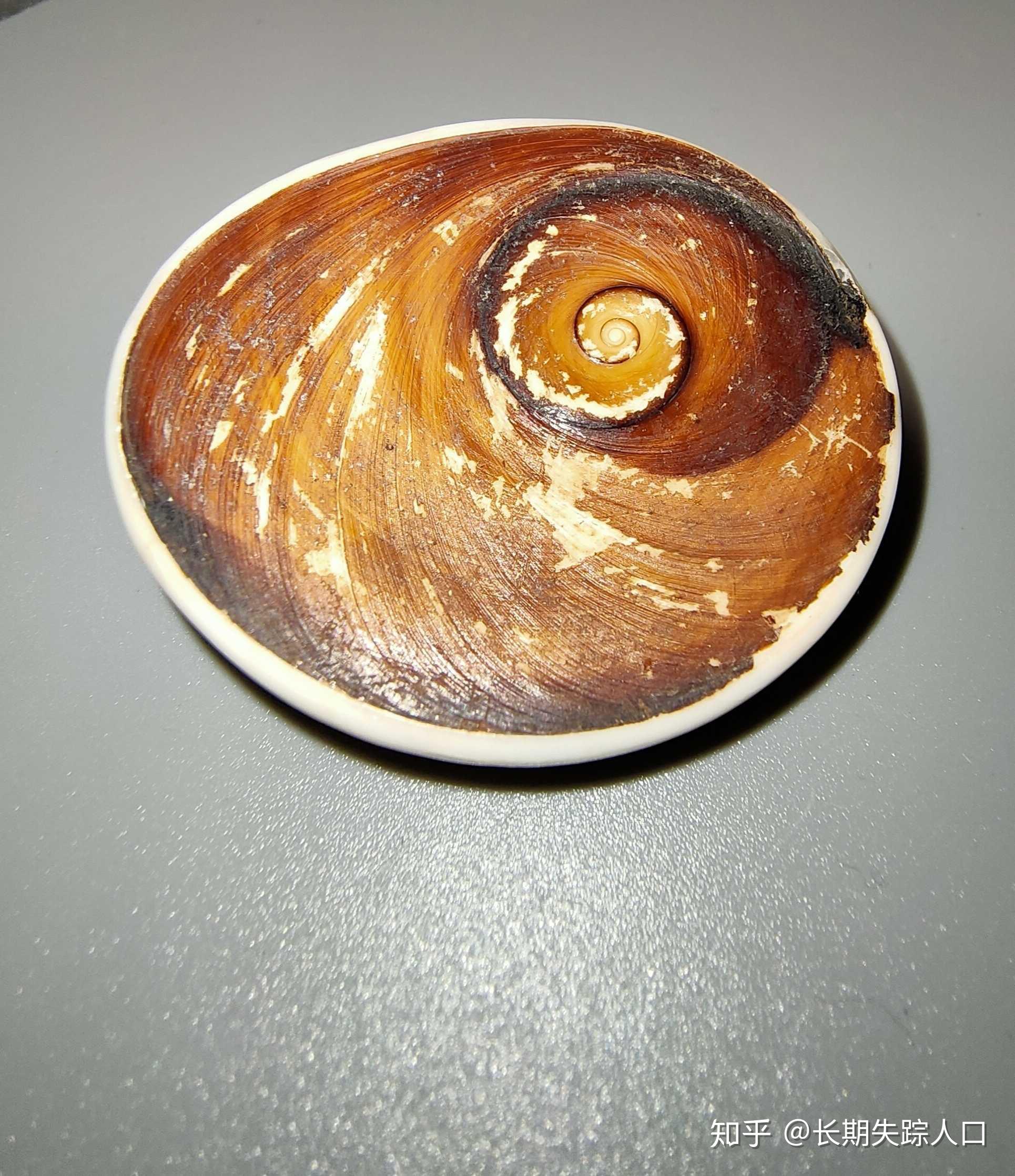 常见5种假化石20