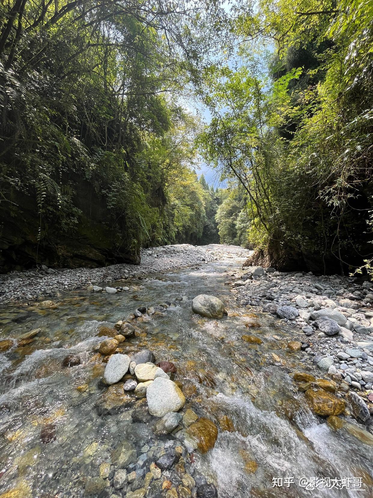 彭州龙漕沟山洪事件 - 知乎