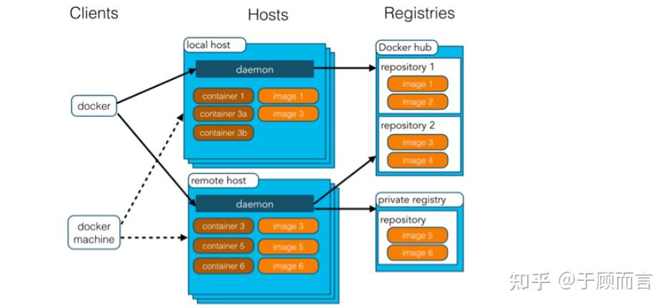 Docker Run Options Image Command Arg