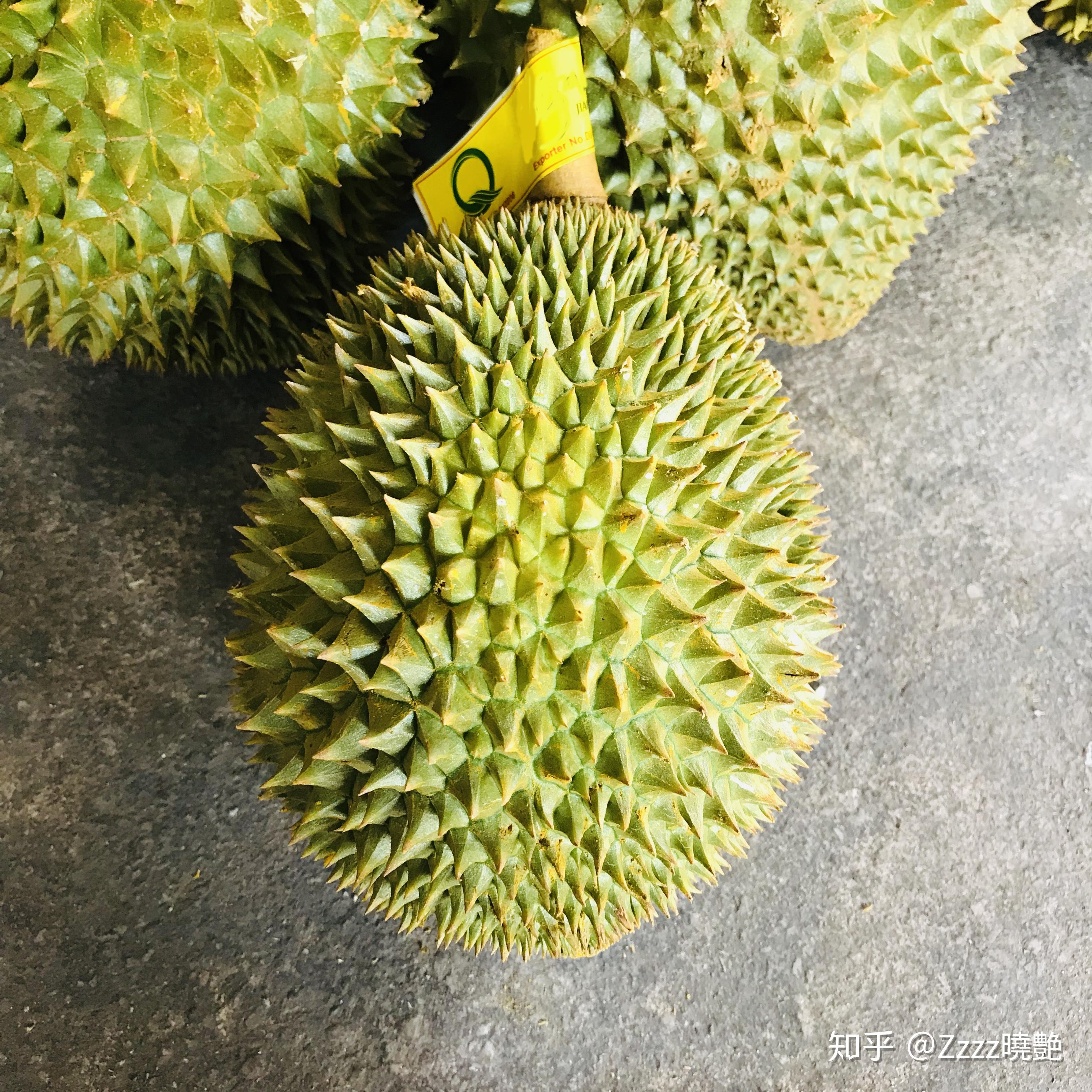 榴莲介绍系列托曼尼