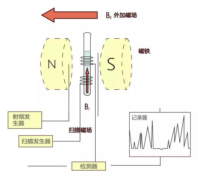 科研必备武器之核磁共振波谱仪