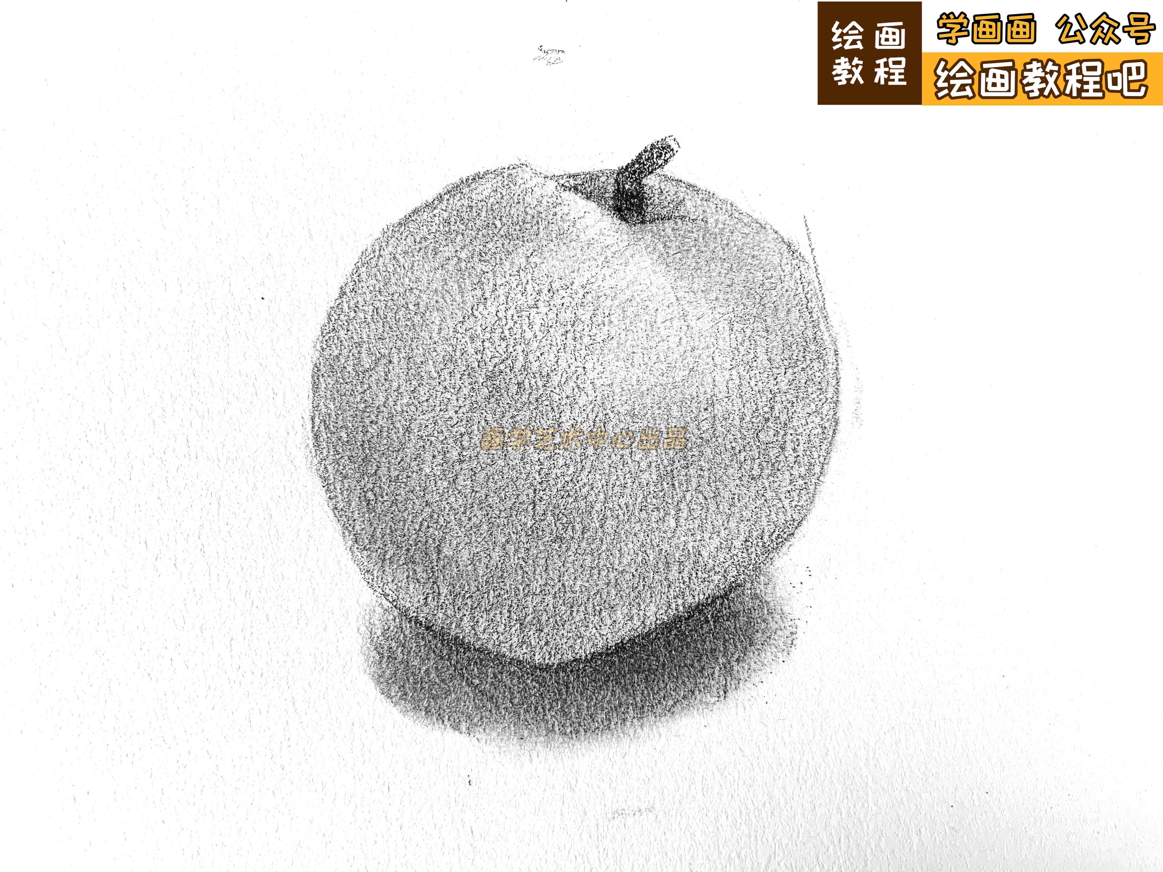 单个桃子的素描画图片