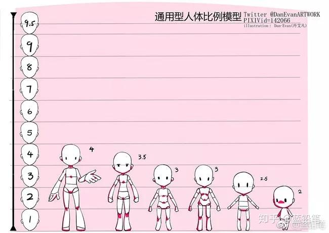 为什么人物总是画不好?人体比例了解一下~ - 知乎