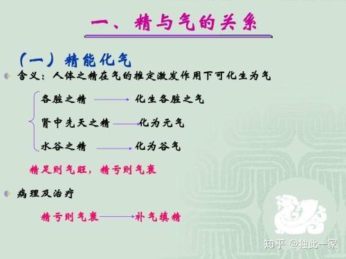 总算明白中医里的气是指什么了,先天之气原来是肾脏 - 知乎