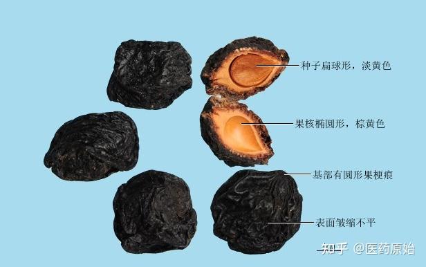 乌梅核乌梅乌梅药材【性状】本品呈类球形或扁球形,直径1.5～3cm.