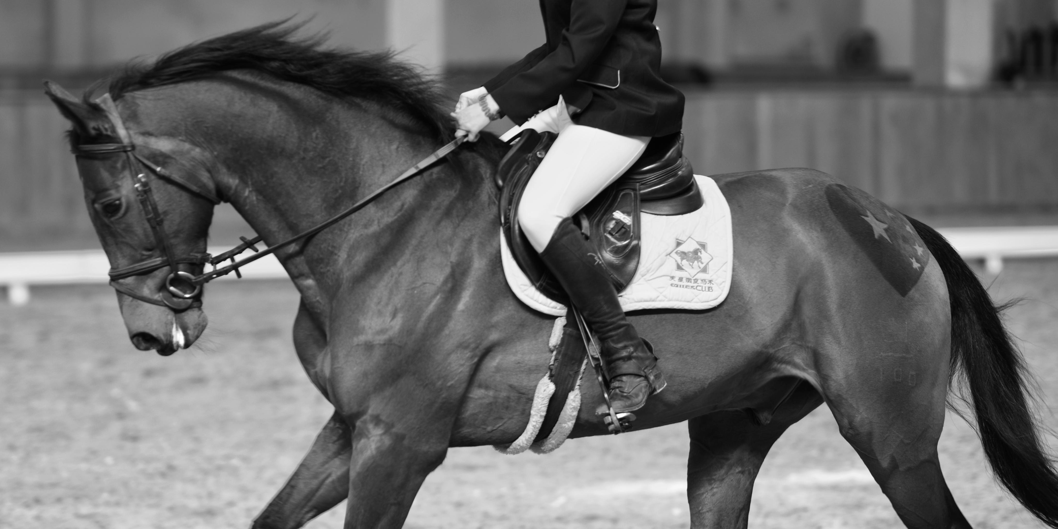 从现在开始建立起正确的骑乘坐姿吧,优美正确的姿态流露出的不仅仅是