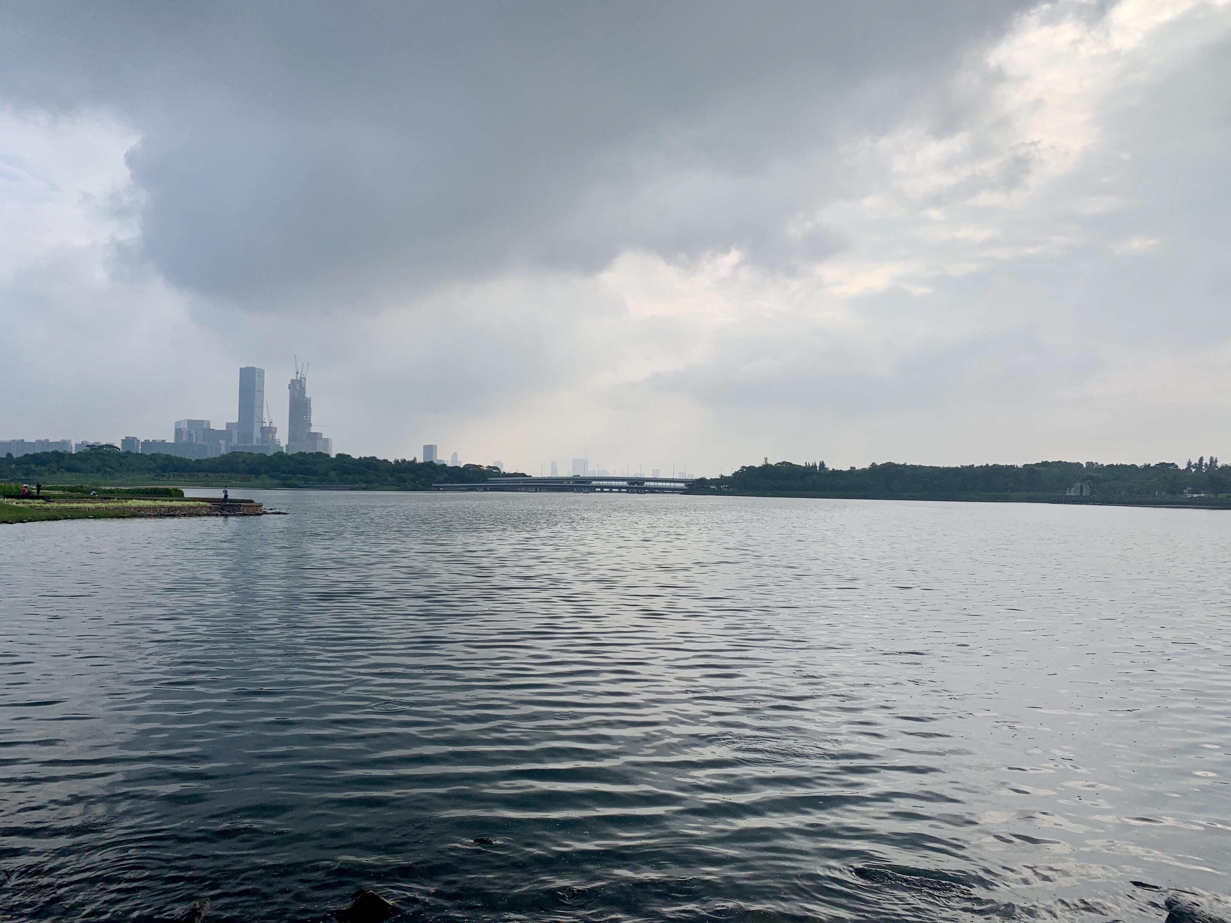 地处深圳市南山区后海片区,公园通过将大量的人才元素融入自然景观的