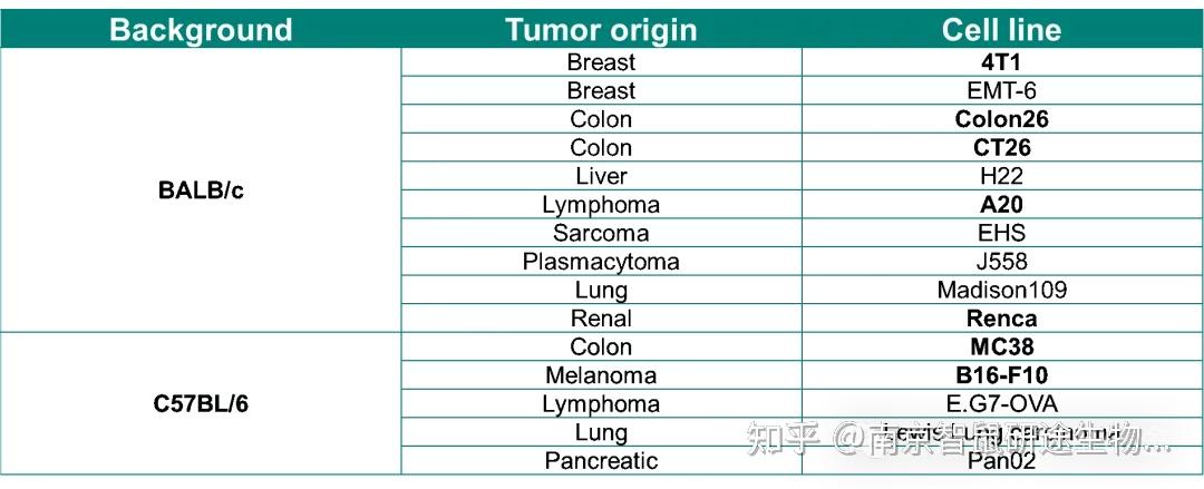 BALB/c小鼠通用知识 - 知乎