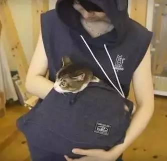 咋样才能怀上双胞胎呢 v2-ea41a704ebb40a0770e1144b6486c8ee_1200x500.jpg