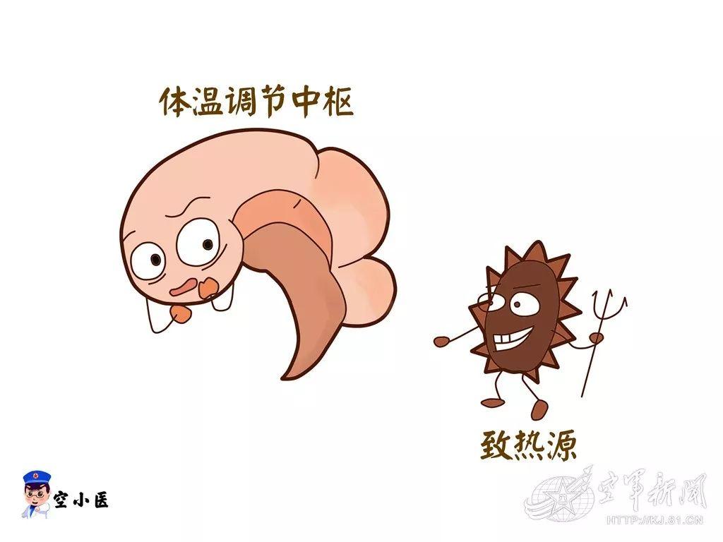 中枢性发热 zhuanlan.zhihu.com