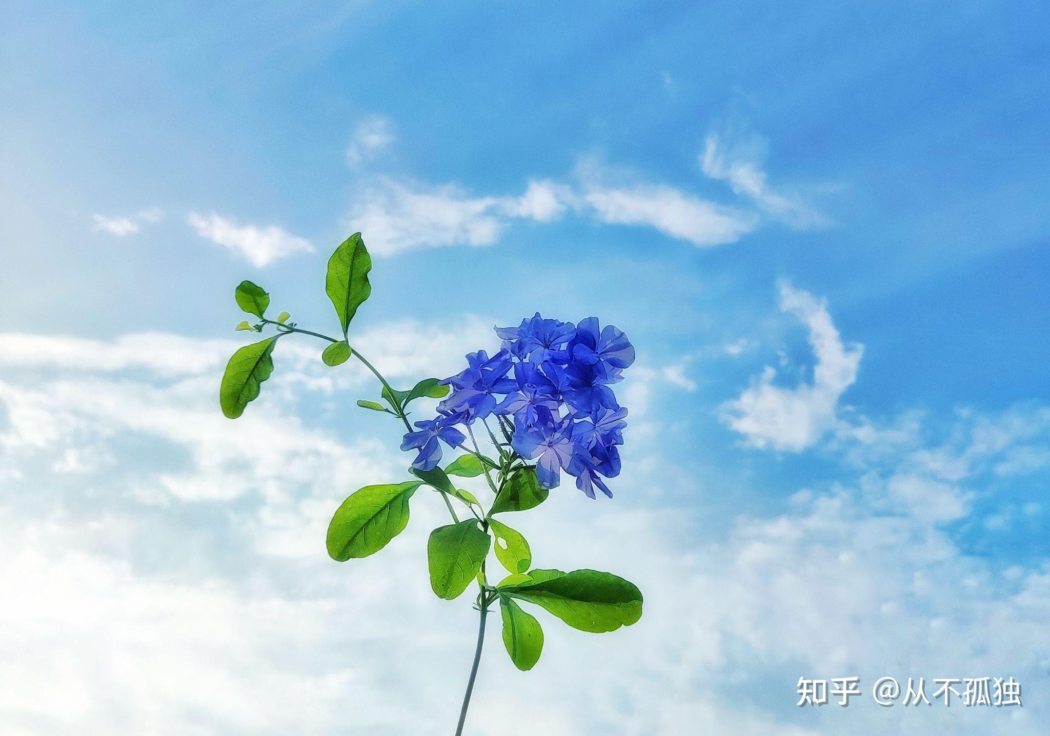 红米k40拍照到底怎么样