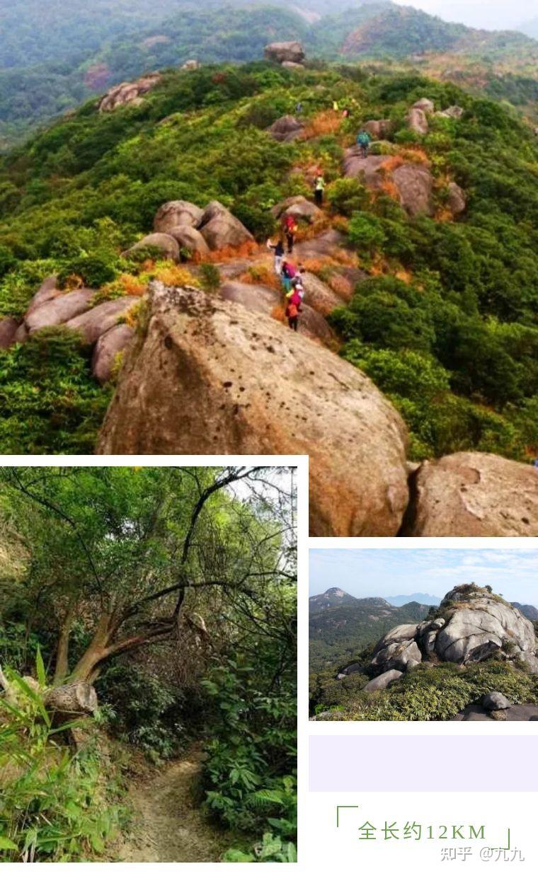 秘境从化丨从化十登千米山之恋行走天地线老虎头1日游