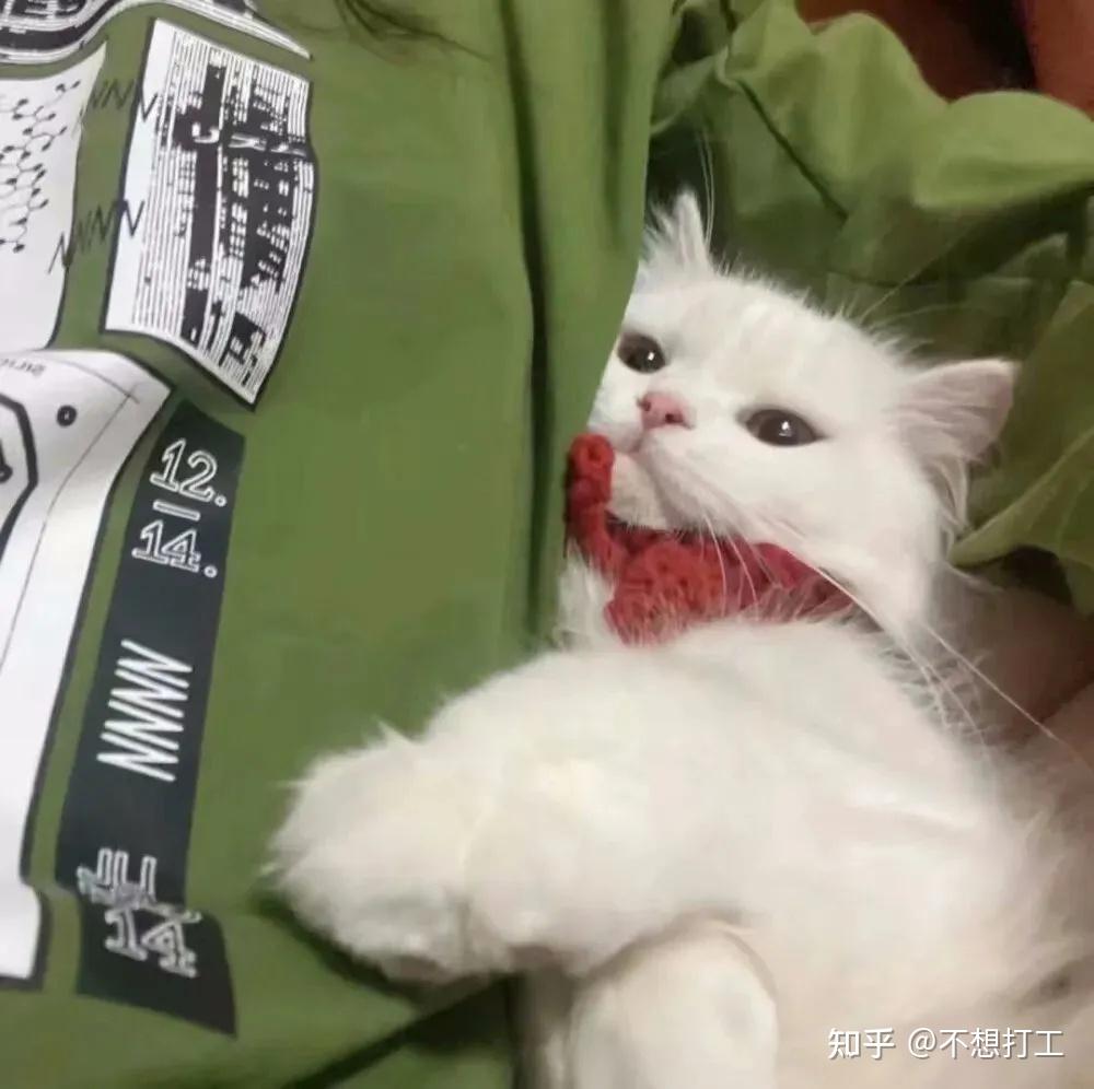 头像| 有趣搞笑的个性女生头像 - 知乎