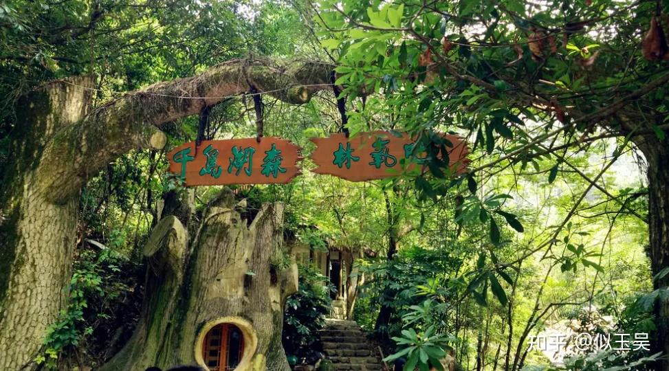 千岛湖最全团建攻略杭州春夏公司团建必去目的地
