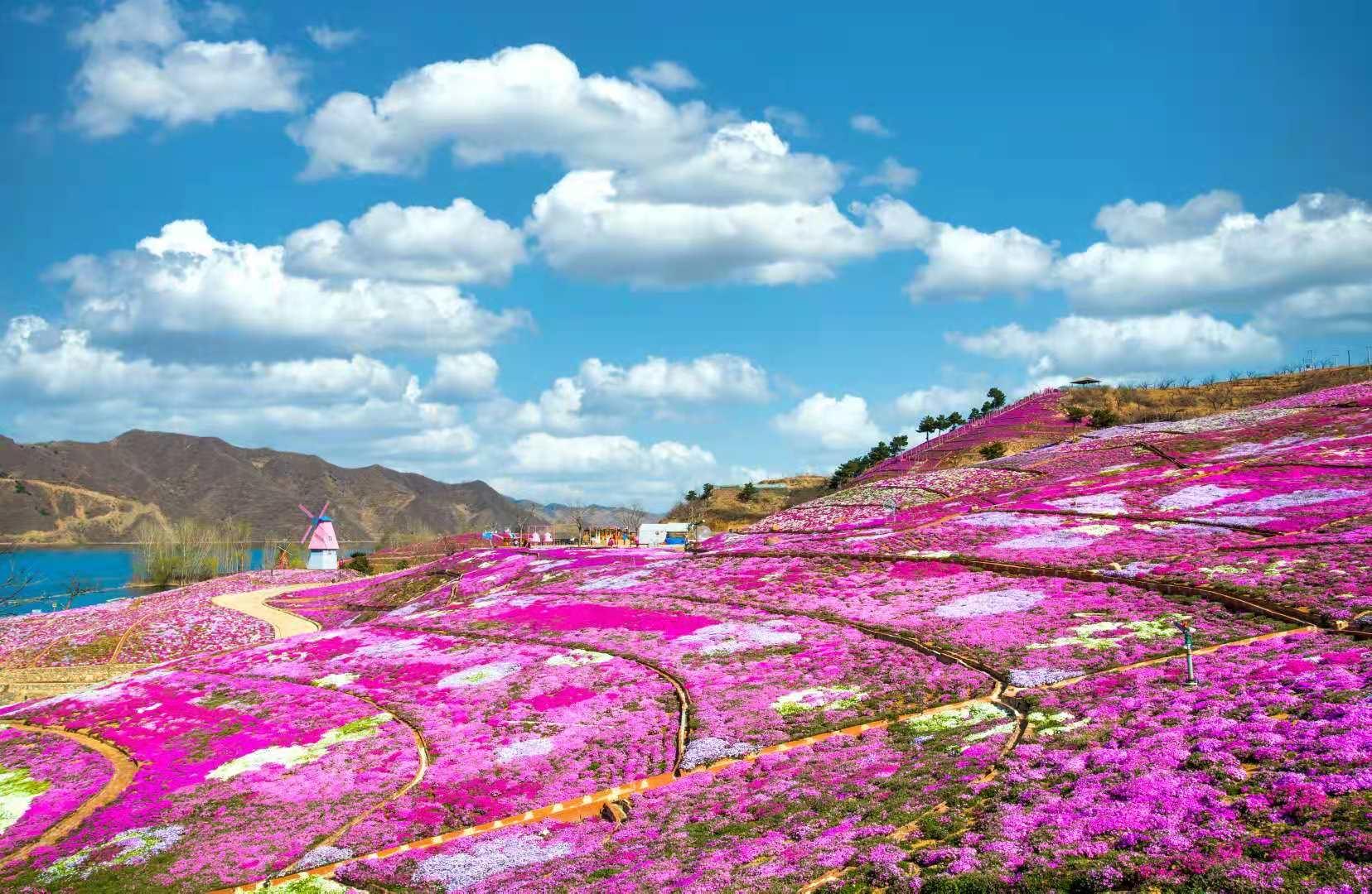 迁西雨花谷 - 知乎