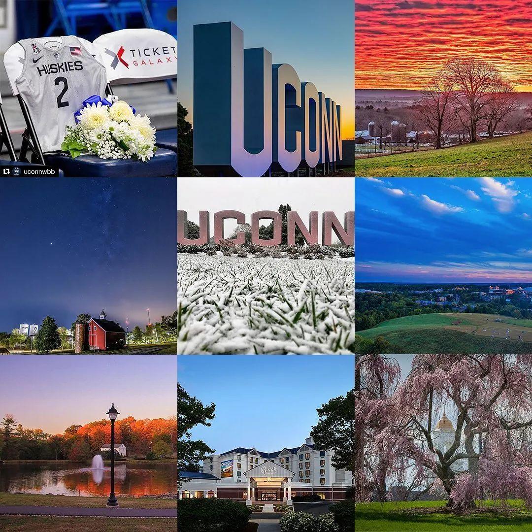 学生选择这里都是因为"地理位置",并表示享受惯了城市里的"灯红酒绿"