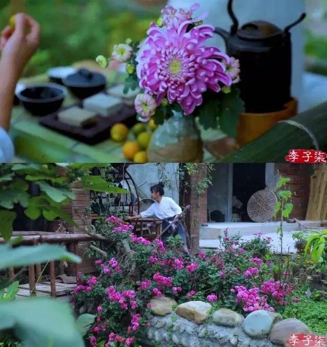 看看最美网红李子柒家的后院——这就是诗意与自然,爱与远方 