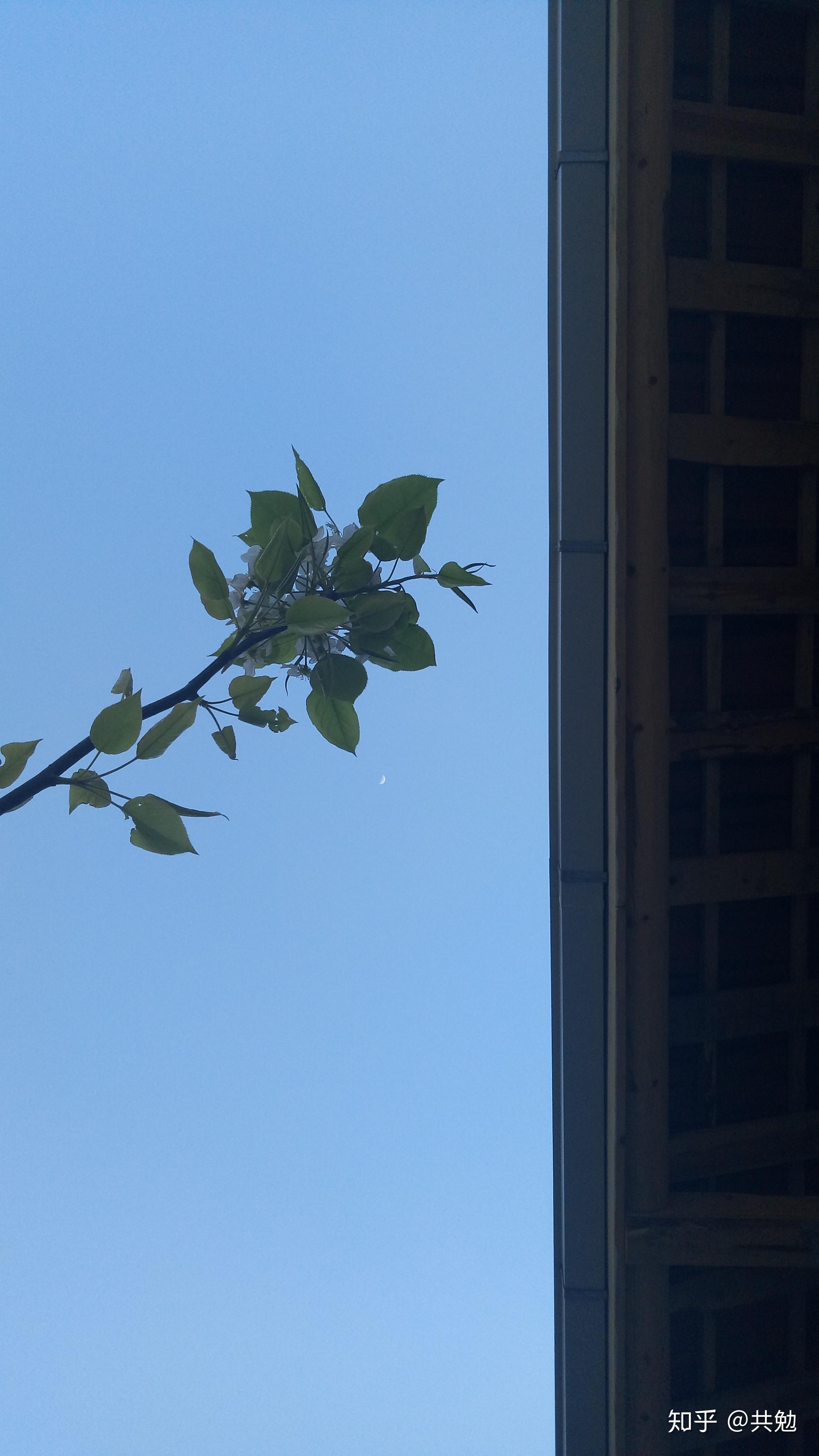 能分享一张一眼就觉得惊艳的照片吗? - 知乎