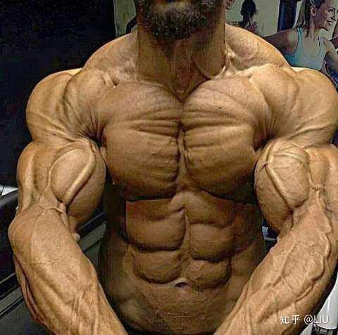 肌肉拉丝!真空腹!训练方法! - 知乎