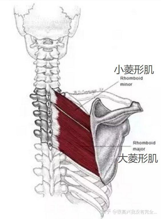 v2-ead20388f728ea610cc9a36e0203c881_r.jpg