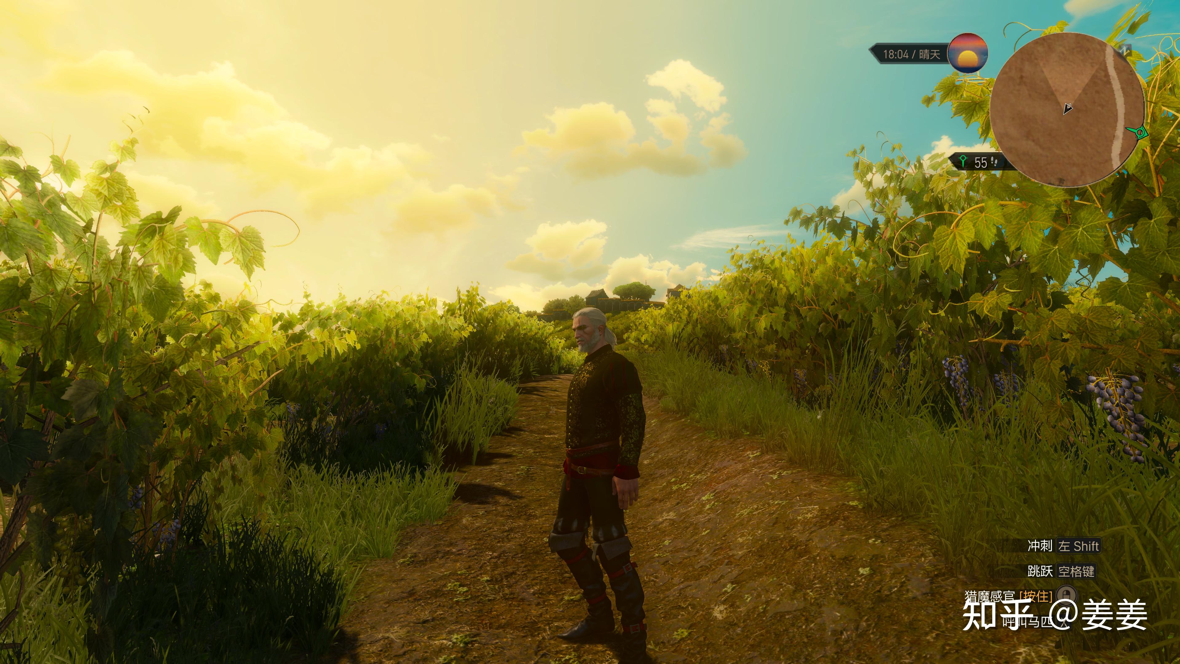 陶森特公国旅行日记(巫师3虚拟世界云旅行)